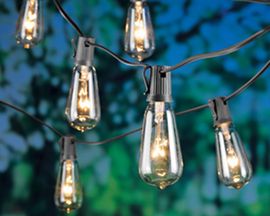 Living Accents Incandescent Edison String Light 