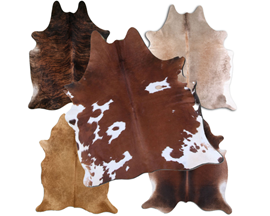 BS Trading® Hair-on Assorted Cow Hide