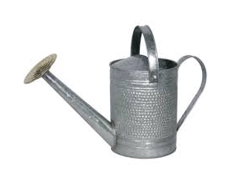 Robert Allen® Jameson Metal Watering Can