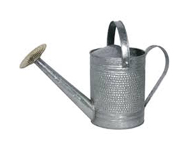 Robert Allen® Jameson Metal Watering Can
