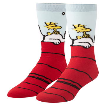 Snoopy & Woodstock Odd Sox