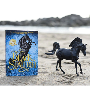 Black Stallion Horse & Book