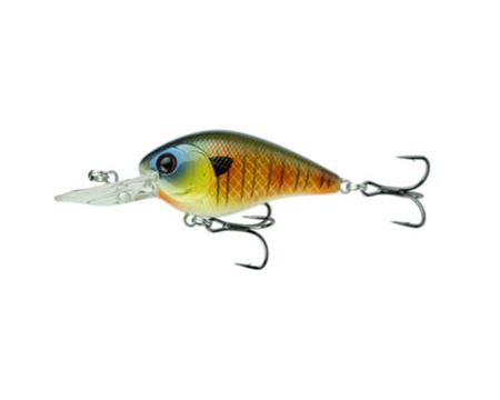 Crush 25MD Baby Crappie