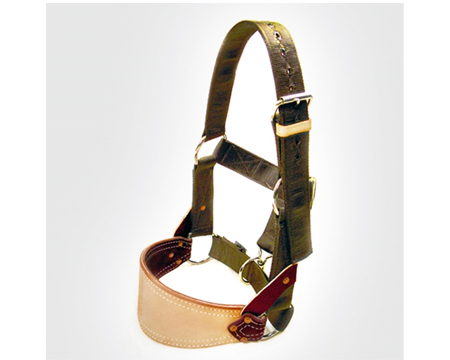 Barstow Nylon Bronc Halter