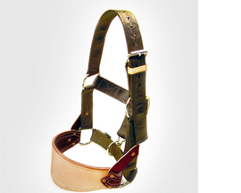 Barstow Nylon Bronc Halter