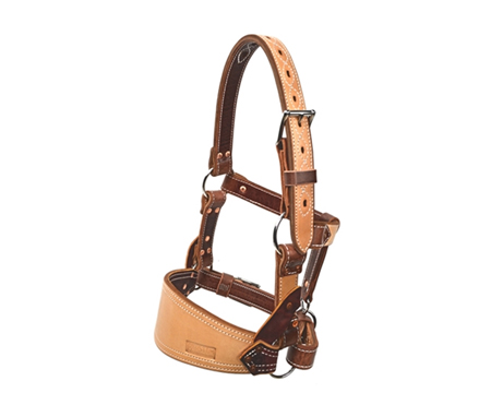 Barstow Leather Bronc Halter