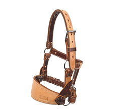 Barstow Leather Bronc Halter