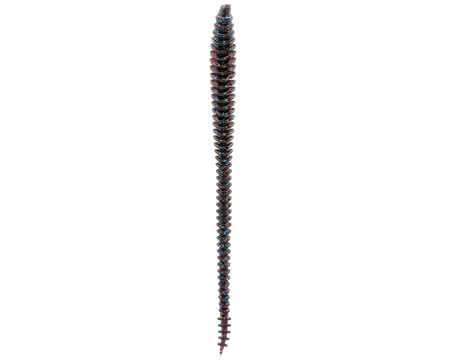 6th Sense Fishing® Boosa 6.5 Shakey Worm - Blue Fleck Magic
