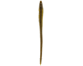 6th Sense Fishing® Boosa 6.5 Shakey Worm - Green Pumpkin