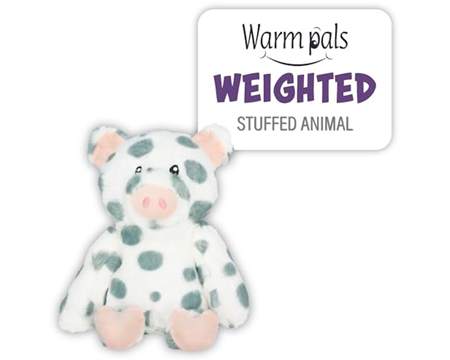Pig Warm Pal