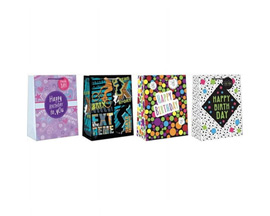 Paper Images® Large Assorted Tween Birthday Gift Bag