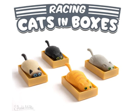 Racing Cat In A Box