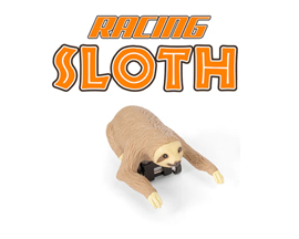 Racing Sloth