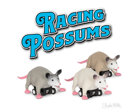 Racing Possums