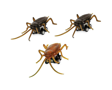 Racing Roaches