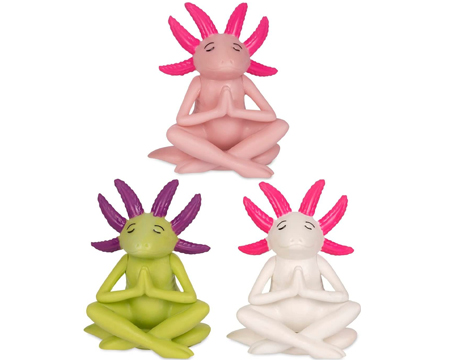Meditating Axolotls