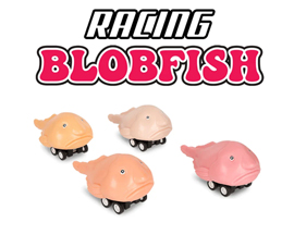 Racing Blobfish