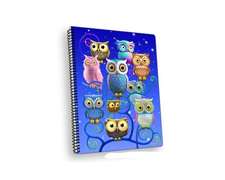 Owls Notebook