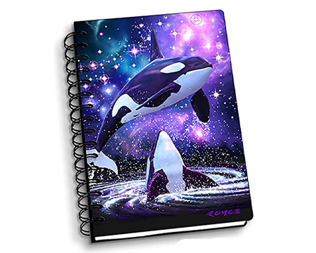 Space Orcas Notebook