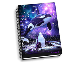 Space Orcas Notebook