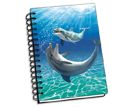 Bubbles Dolphins Notebook