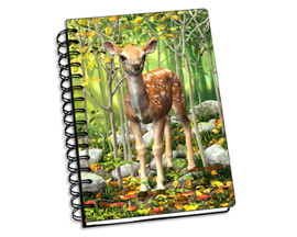 Fawn Notebook