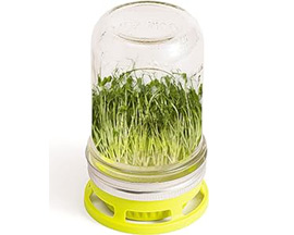 Jarware® Seed Sprouter Lid