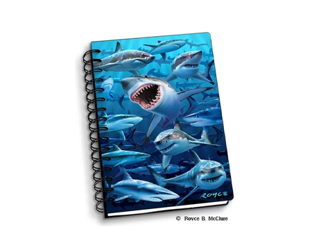 Sharks Notebook
