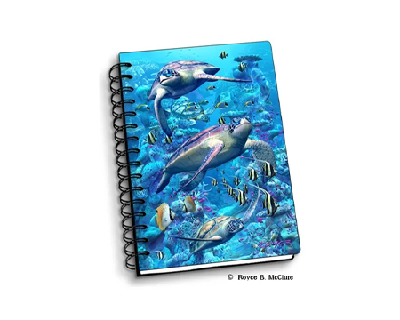 Turtle Town Notebook