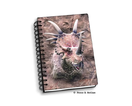Styracosaurus Notebook
