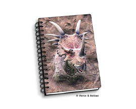 Styracosaurus Notebook