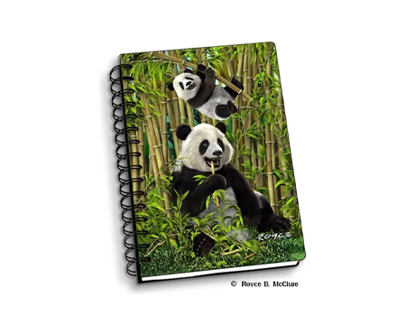 Notebook Pandas