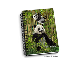 Notebook Pandas