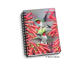 Hummingbirds Notebook