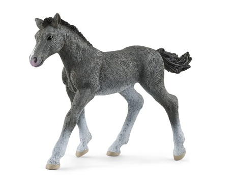 Schleich® Trakehner Foal Toy