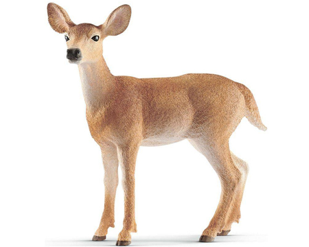 Schleich® White-Tailed Doe Toy