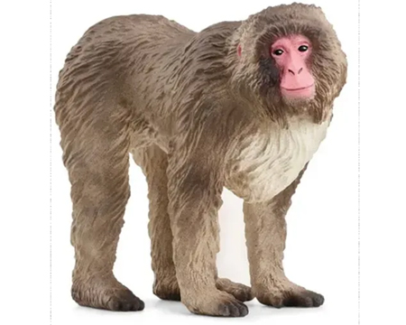 Schleich® Japanese Macaque