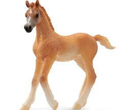 Schleich® Arabian Foal Figurine