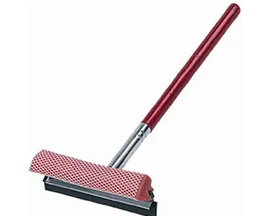 Carrand Squeegee & Sponge 21" 