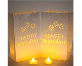 Luminary Bags with Tea Lights 50 - Happy Birthday
