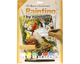 Paint By Number - Garden Birds