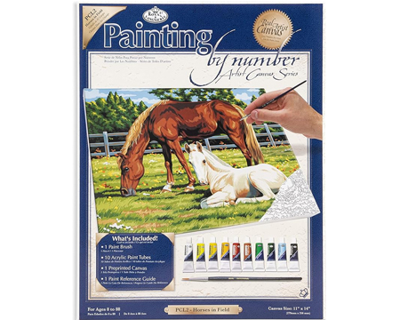 Canvas Paint By Number Horse