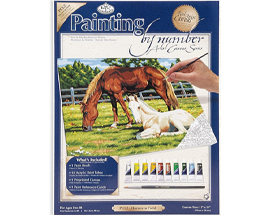 Canvas Paint By Number Horse