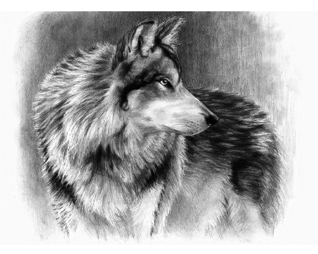 Sketching Made Easy Kit - Cautious Eyes
