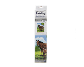 Paint By Number - Roll Mare & Foal Canvas