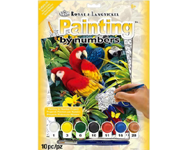 Painting By Numbers - Majestic Macaws