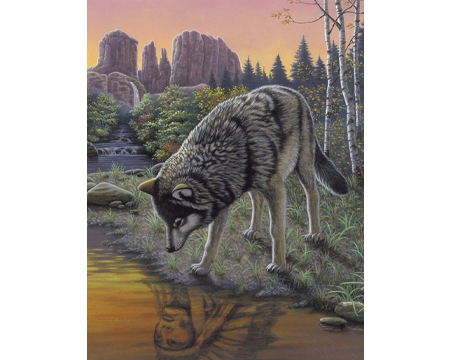 Painting By Numbers Kit - Reflections