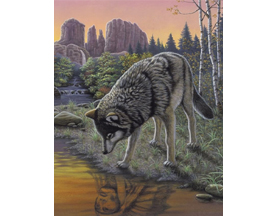 Painting By Numbers Kit - Reflections