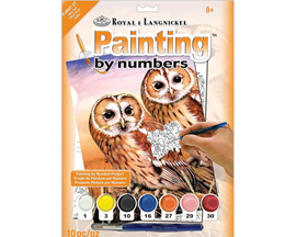 Painting By Numbers Kit - Tawny Owls