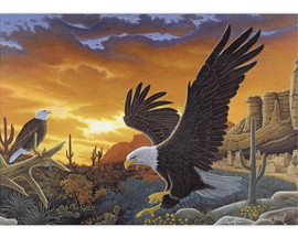 Painting By Numbers Kit - Sky Messenger